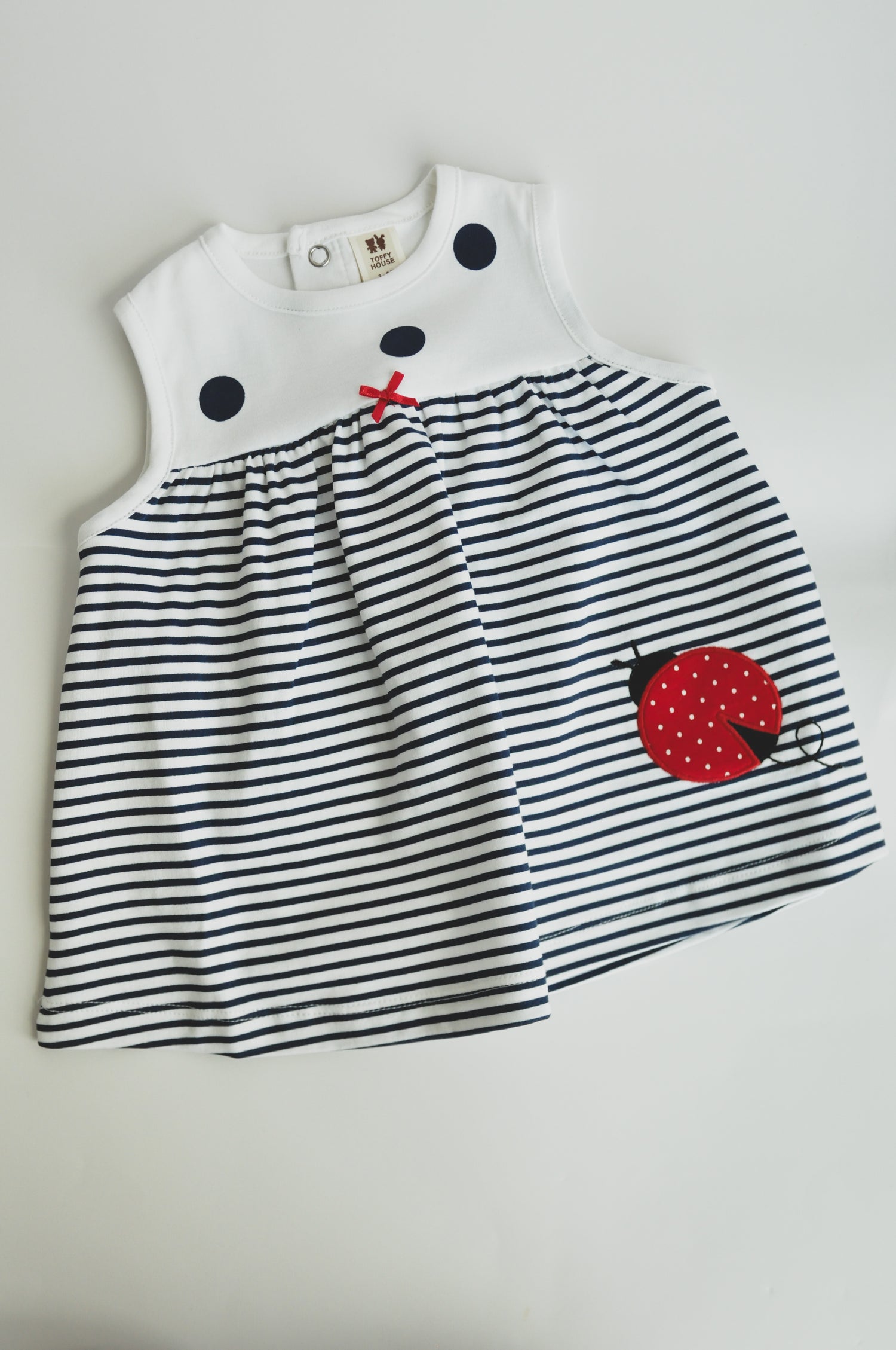 Navy Stripe Ladybug Dress